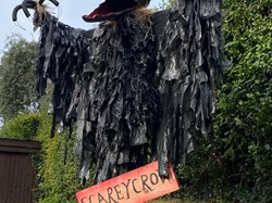 Droxford Village Community Scarecrow Festival 2022