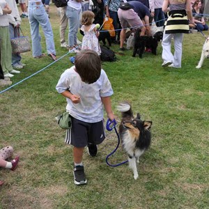 Goodworth Clatford Parish Council  Fete 2026 photos