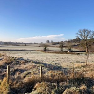 Perfect Morning - Debbie Cary