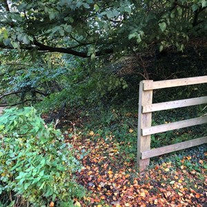 Asenby Parish Council Local Walks