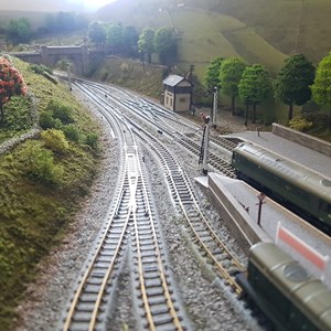 N Gauge Society - IoW Group MRS News - 2 Mar