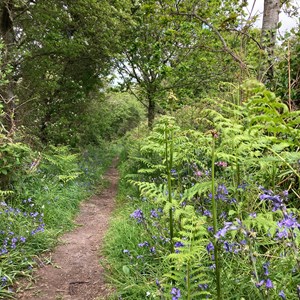 Chillerton and Gatcombe Parish Council Village Photos