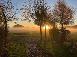 Misting morning over the playing field