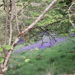 Hereford Mountain Club Our Recent Activities