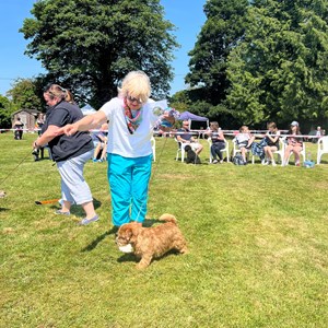 Whixall Social Centre Whixall Dog Show 2023 Report and Phots