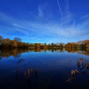*Alvecote Pools Nature Reserve is a series of shallow pools created by mining subsidence and is one of the most important bird-watching sites in the Midlands.