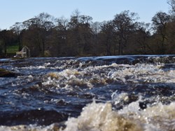 Chollerton Parish Council Home