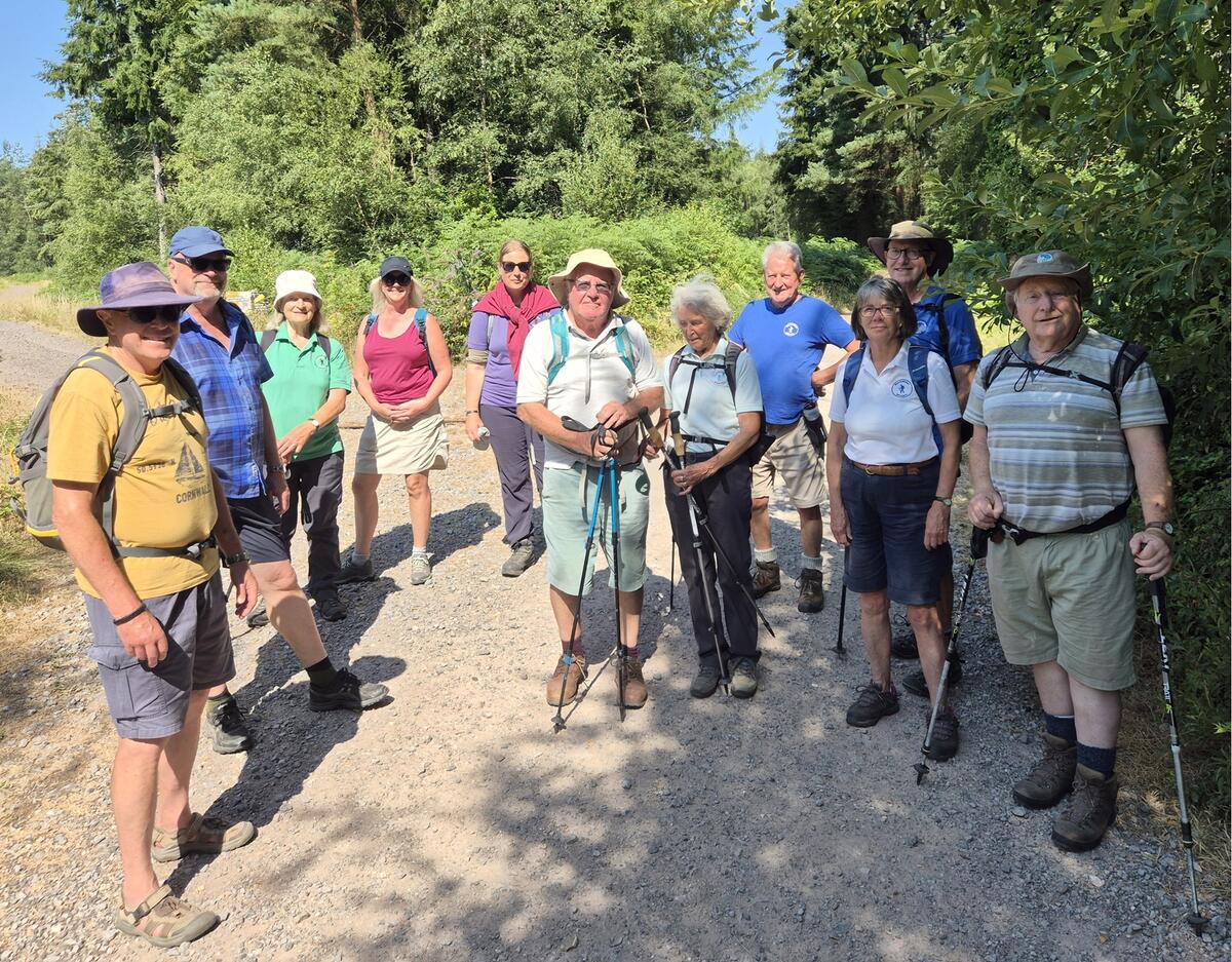 Mileaters in Puddletown Forest