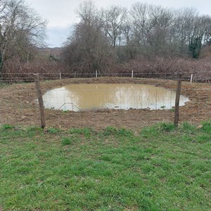 BMAT Walk Meadow