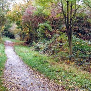 The Cockshutt, Wrockwardine Wood and Trench Parish Council