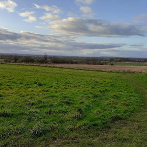 Long Yard meadow