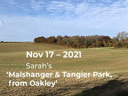 Sarah’s ‘Malshanger & Tangier Park, from Oakley’.