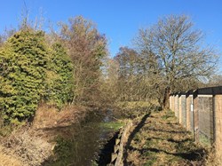 In the winter we spent time clearing our half of the water course, lifting branches and removing some of the fallen trees to allow in more light.