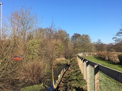In the winter we spent time clearing our half of the water course, lifting branches and removing some of the fallen trees to allow in more light.