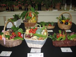2017 Summer Show  Basket of Vegetables