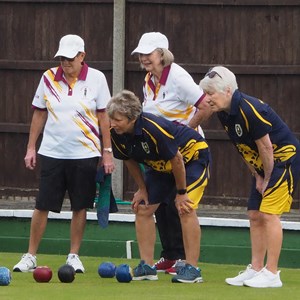 Aldiss Park Bowls Club Ladies 3s Qtr & Semi 2025
