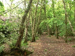 Hinstock Parish Council Quarry Wood