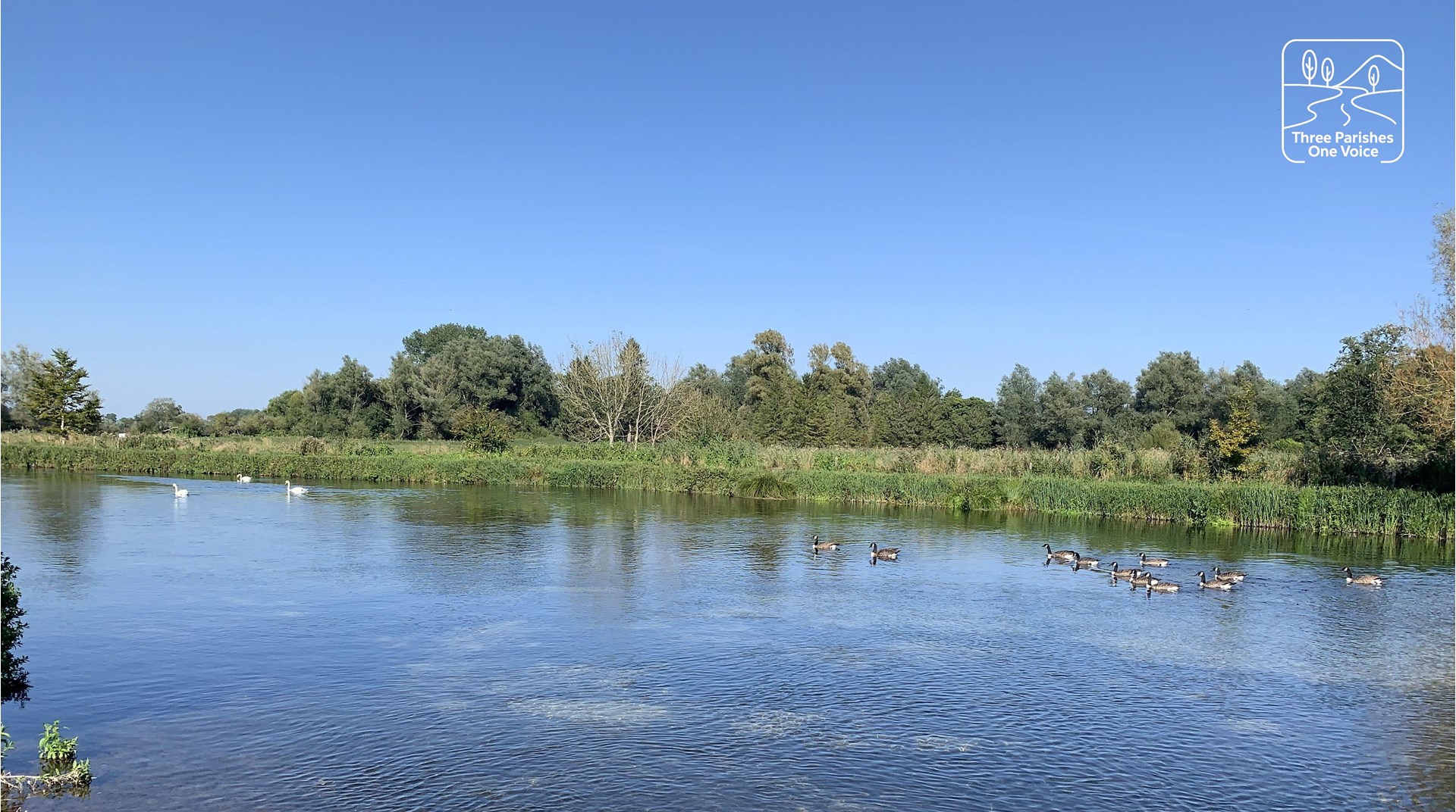 River Test, Houghton