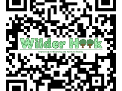 Wilder Hook About Us