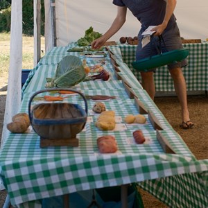 HBT Horticultural Society Photographs 2026