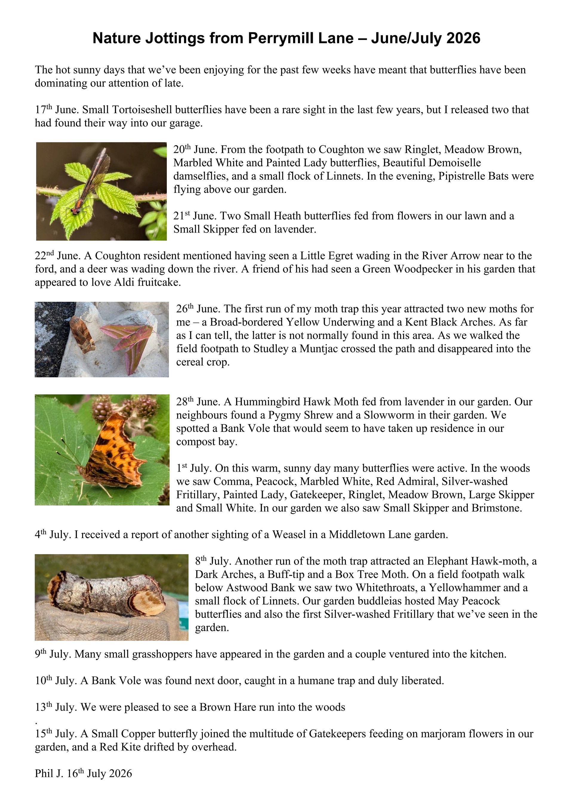 Sambourne Parish Council Wildlife sightings in Sambourne Parish