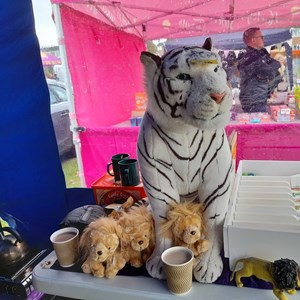 Wrexham Maelor Lions Club Fund Raising Activities