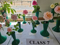 Bucklebury and Marlston Horticultural Society Summer Show 2026