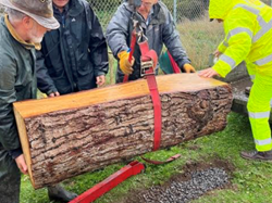 Log seats are really heavy