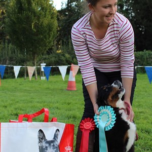 Bleasby Community Website Bleasby Dog Show 2019