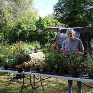 Goodworth Clatford Parish Council  Fete and Flower Show 2026 photos