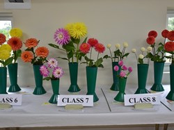 Bucklebury and Marlston Horticultural Society Autumn Show 2024