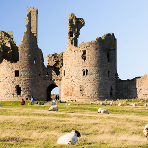 Craster Parish Council Home
