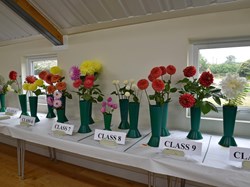 Bucklebury and Marlston Horticultural Society Autumn Show 2024