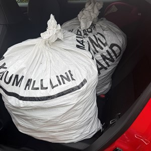 Crewe Lions Club Lions just get out and about