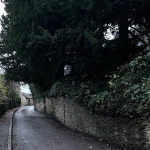 Buckland Dinham Lower St Clean up