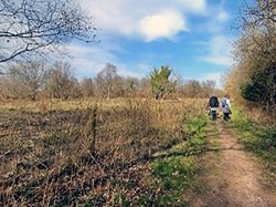 Basingstoke Ramblers Club March Walks – 2025 [Walks 6 to 9]