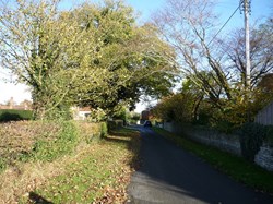 Cox's Walk