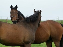 Chaddleworth Parish Council HEROS Charity