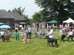 Whixall Social Centre Gallery