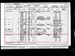 Census 1901