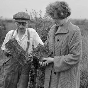 Peat Workers