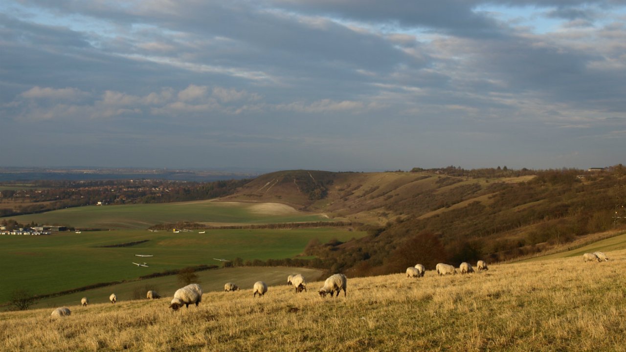 Dunstable Downs and Whipsnade Estate