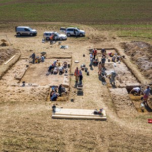 Dig Day 5