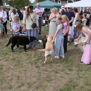 Goodworth Clatford Parish Council  Fete 2026 photos