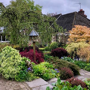 Dalwood Parish Council Home