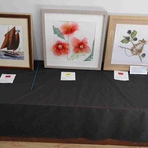 Goodworth Clatford Parish Council  Fete 2026 photos
