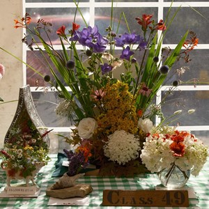 HBT Horticultural Society Photographs 2026