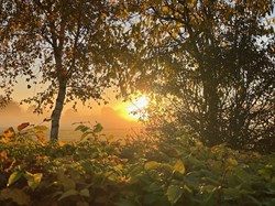 Misty Autumnal morning