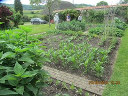 A 'Best Vegetable Garden' winner