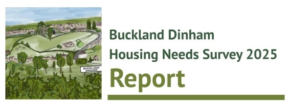 Buckland Dinham Housing Needs Survey